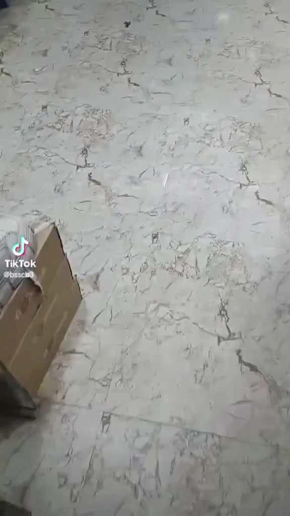 العنوان الموصل حي الانتصار شارع ٦٠ مقابل سوك مخضر الجديد


**إذا كنت صاحب هذا الإعلان وتريد حذفه لأي سبب، رجاءا أرسل رسالة إلى الدعم الفني**