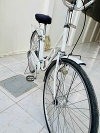 باسكل • حجم ٢٧ • كربلاء طوريج