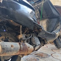فراشة • فحل • كفرات
