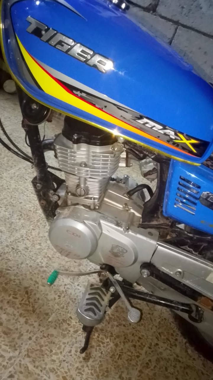 سلام عليكم تايكر 2020 شلعه ومعدل مكينه فقط بستم ماطور نضيف كل غراضو جديدة للتواصل خاص


**إذا كنت صاحب هذا الإعلان وتريد حذفه لأي سبب، رجاءا أرسل رسالة إلى الدعم الفني**