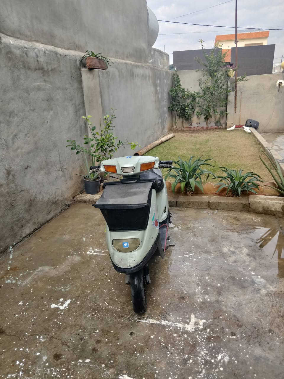 ماطور يماه للبيع اي عيب ما بي حيل نضيف السعر 200 او بي مجال الشراي هاذه الرقم ***********
