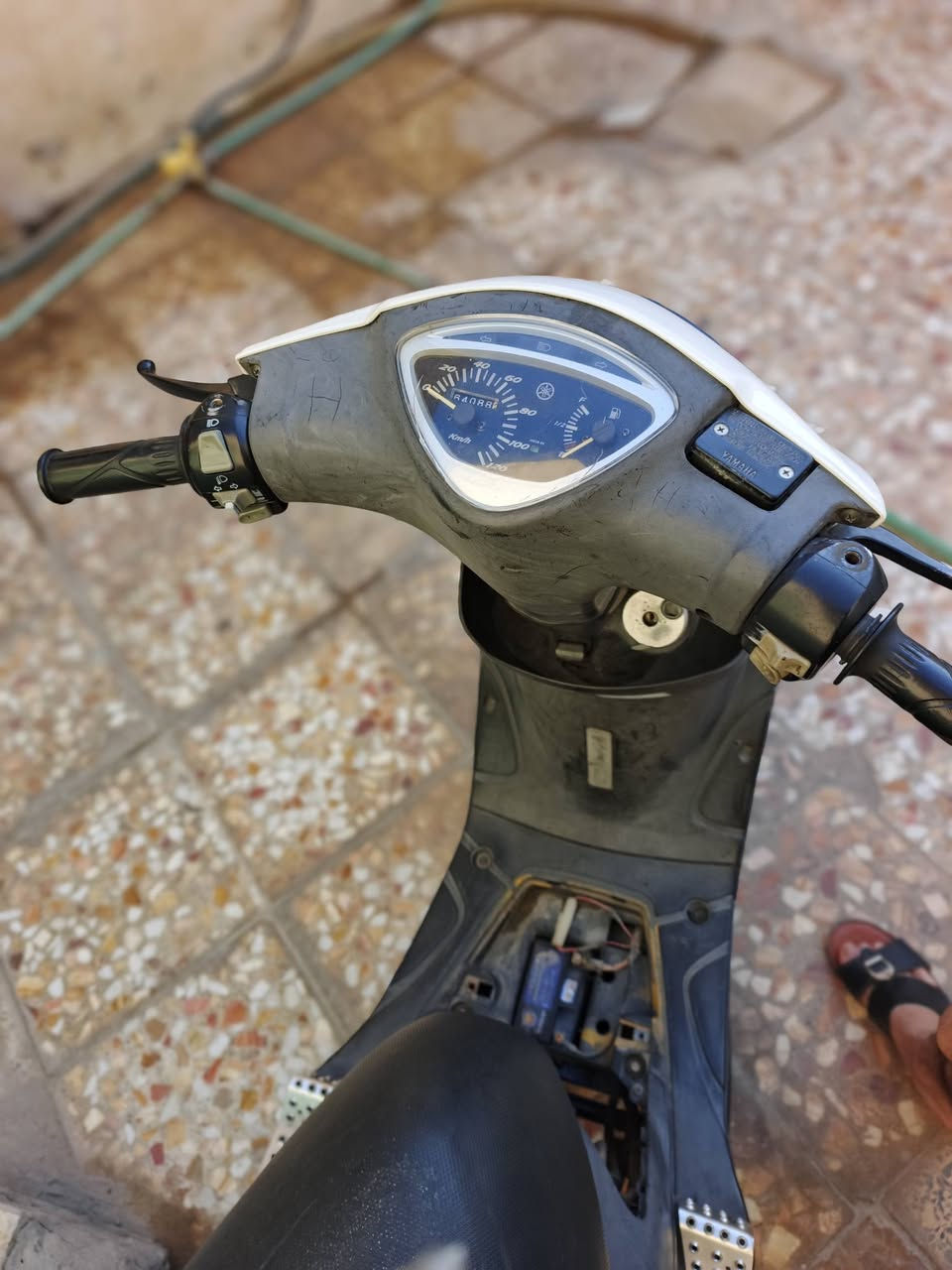 سعر 950 او اراوس بسكنس فحل شعند نزل


**إذا كنت صاحب هذا الإعلان وتريد حذفه لأي سبب، رجاءا أرسل رسالة إلى الدعم الفني**