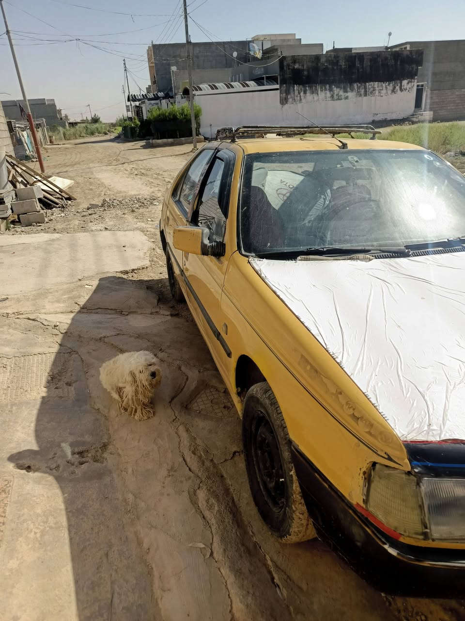 بيجو روى باسمي بغداد دولي سنويه لحد 30 هيىه وغرامات مصفره كير ومحرك كورلا محوره ياباني هزه بعده صدر نظيف كهربائيات شغاله تبريد يشتغل بس يحتاج كهربائي تخم تاير جديد هذا شكله كدامك السعر 28 او مراوس سمنت شرط محوره كورلا مكاني ديالى ***********
