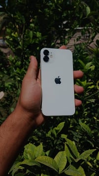 ايفون 11 • ١٢٨ • فيس ايدي شغال
