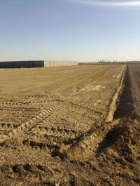 اللبيع 2 دوانم   بابو غريب السميلات قرب من مزرعت التألق بنص مزارع وشال...