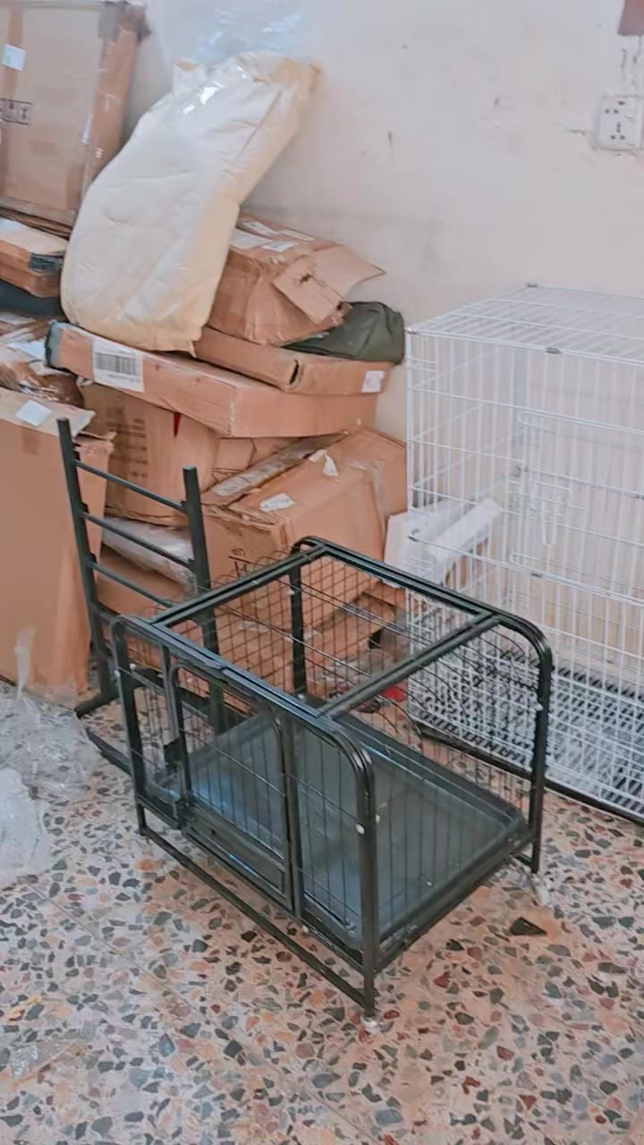 السلام عليكم شلعه خشن الكيلو سعره 3 مستعجل على بيعتهن
***********
