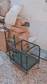 شلعه خشن الكيلو سعره 3 مستعجل على بيعتهن 07714751812