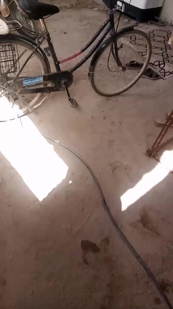 السلام عليكم بايسكل للبيع كامل صينيه جديده كاسحه جديده سله جديده ثمانيه جديده جاملغات جدد بايسكل كامل مكمل اللي يريده يجي خاصه بخير ويدلل 
مكلف بالنشر


**إذا كنت صاحب هذا الإعلان وتريد حذفه لأي سبب، رجاءا أرسل رسالة إلى الدعم الفني**