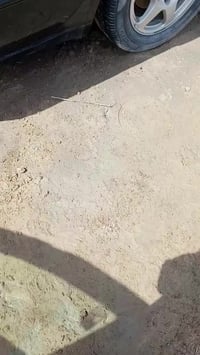 07804665342 07712862832