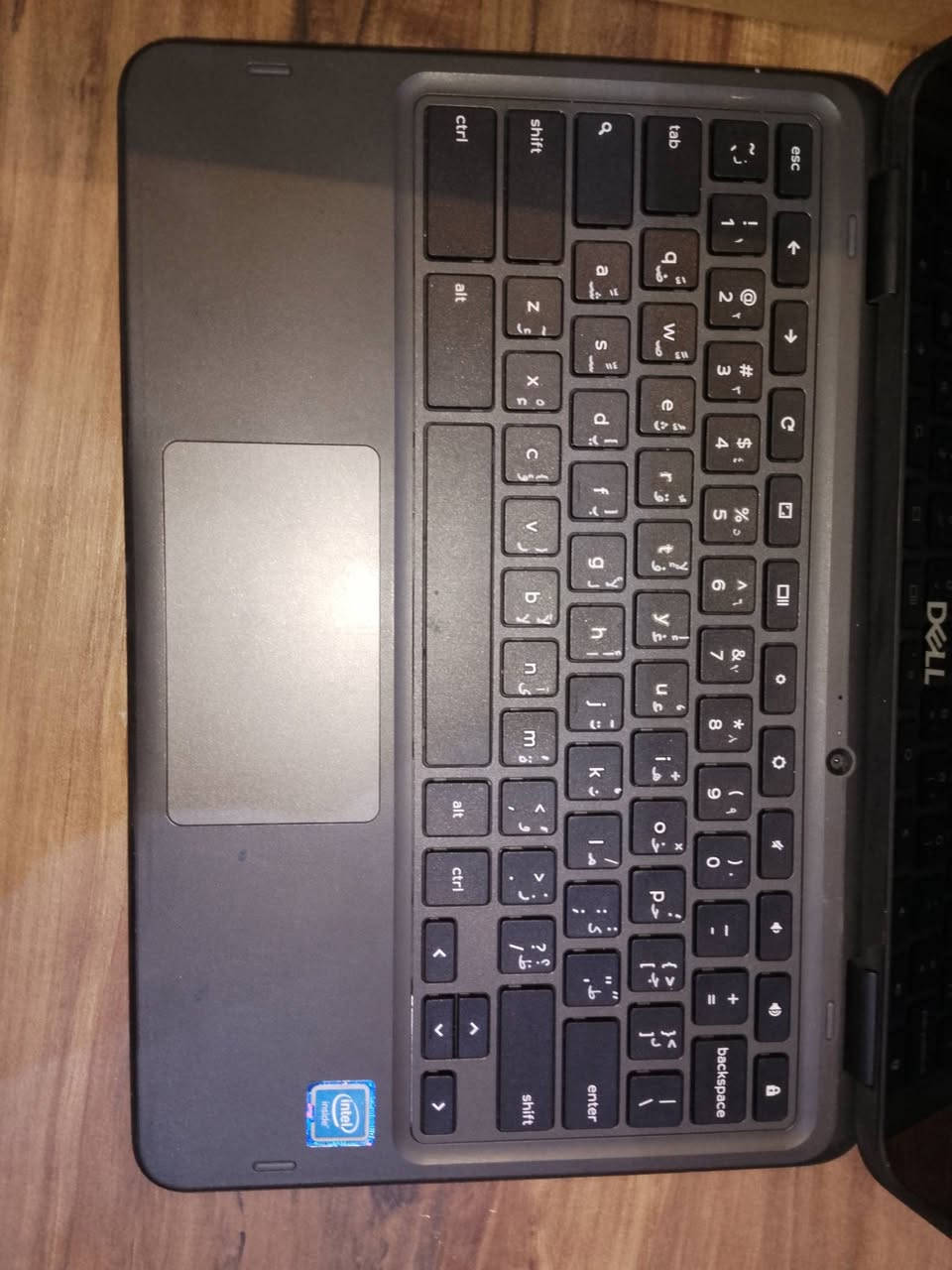 ***********
قطعه فول مواصفات نخليها مزاد
