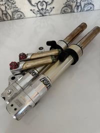 صدر RGS • كاربون حقيقي • ذهبي مكفول