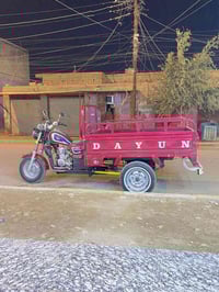 ستوته • موديل 2021 • أوراق كاملة