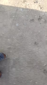 واسط شحيحة • بيه مجال • اكسسوارات سيارات