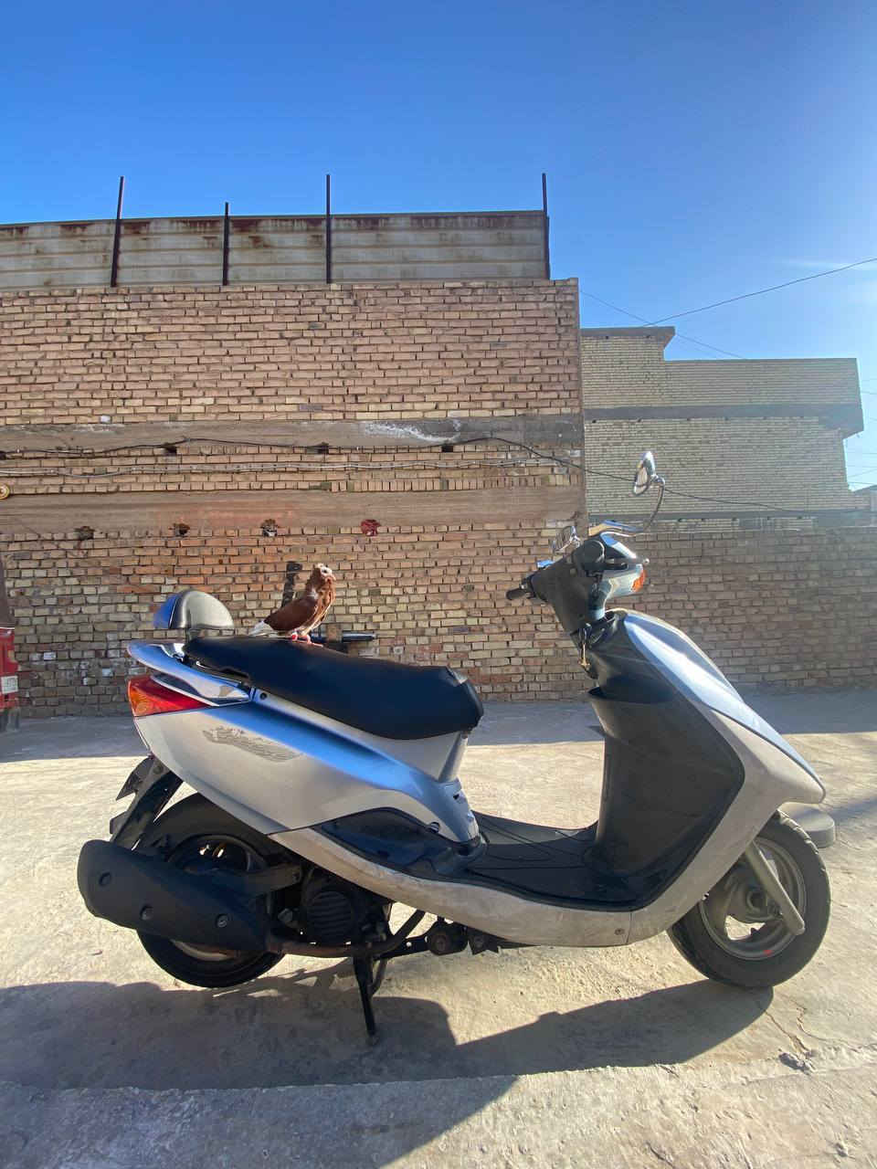 السلام عليكم
بريز لايت جوه دراجه جديده وكلهة 
بلاديه مابيهة أيشي تجاري كلهة ختم واحد دراجة جديده
بمعنه الكلمة ومكينته متسمعلهة صوت
دراجه مال بيت شاهد الله رايدهة بـ900
مكاني بغداد الشعلة نضافتهة تسولف الشراي 
يجيب فيتر ويجي يفحص وهاذ رقمي للتواصل ***********واني خادم
