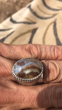 داودي • قديم • مراوس