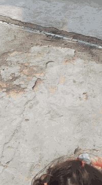 ليفان2011بسمي
سعر30بي مجال 
***********
