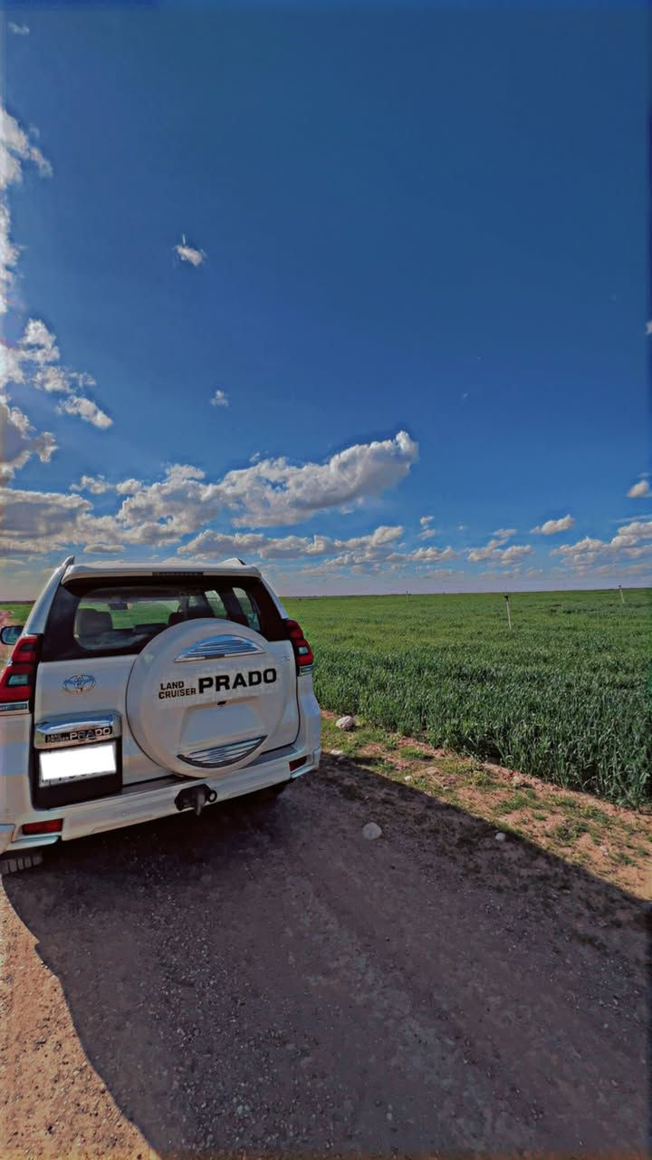 سلام عليكم  برادو ساز ( VX )١/١  مديل 2022
دبل تانكي
 • الممشى: 52,000 كم
 • السيارة على وضع الشركة (كتلوكات كاملة)
 • كاعيات + سبير منازل

🔹 الحالة:
 • كفالة عامة (فتح، صبغ، تبديل)
 • بيها أصبعين BDR خفيف جداً (ما يبين حتى بالسونار)
 • رصعة خفيفة على وضعها

🔹 المميزات والإضافات:
 • دشبول لكزز
 • دبل ماوس
 • كشنات خلفية كهرباء
 • 4 كاميرات
 • بجم نيكل + سبير نيكل + ويل نيكل + ترايش نيكل
 • شفتات مقود
 • دبل تحكم بالمقود
 • مقود كهرباء + ميموري
 • مرايا طي + إشارات بالمرايا
 • أشاير ترحيب
 • زنون لايت + LED + لايت قلاب

📍 العنوان: شارع فلسطين
📄 الملكية: تحويل مباشر

💰 السعر: 477 (قابل للتفاوض البسيط)

📞 للاستفسار:  ***********
