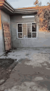 بيت 210 متر البناء 150 متر
 قرب محطة وقود الحامد قريب جداً على سايدين الحولي
 بسعر جداً مناسب البيت ( تجاوز ) 
رقم صاحب الدار‏ ‪***********‬‏
