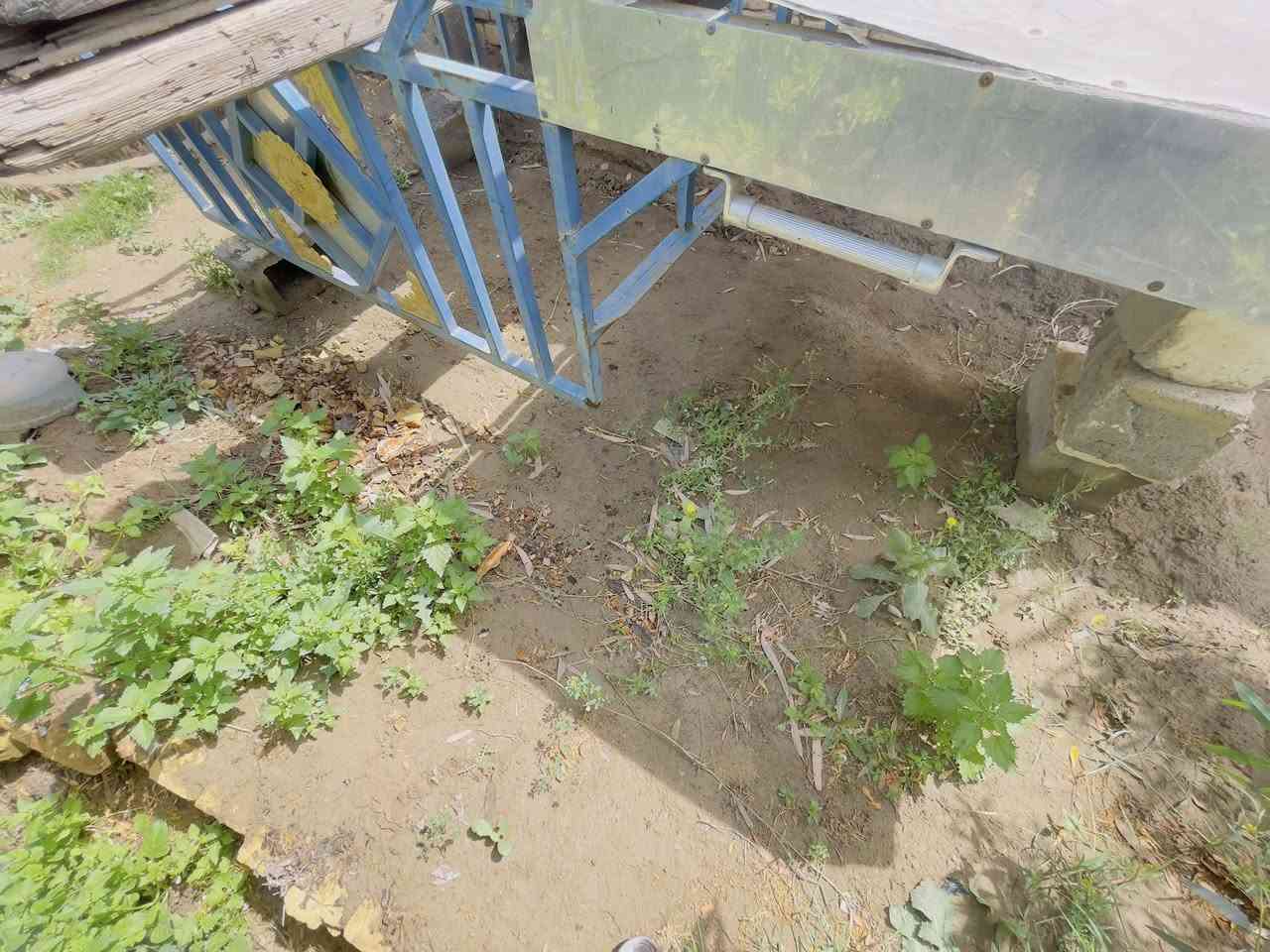 ستوته دايوان مرقم وياها محجر للبيع رقمي ***********
