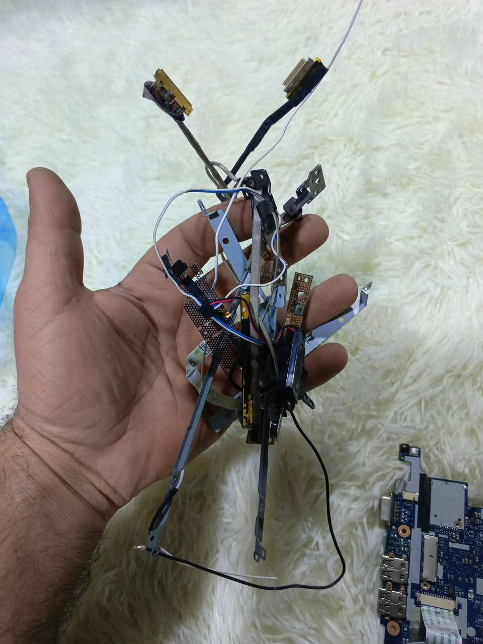 امزون ابيع فحم لان مافاحصهن اعلى سعر ابيع ما ابيع مفرد كلهن شلعة الي يخدمنه يخلي سعر


**إذا كنت صاحب هذا الإعلان وتريد حذفه لأي سبب، رجاءا أرسل رسالة إلى الدعم الفني**