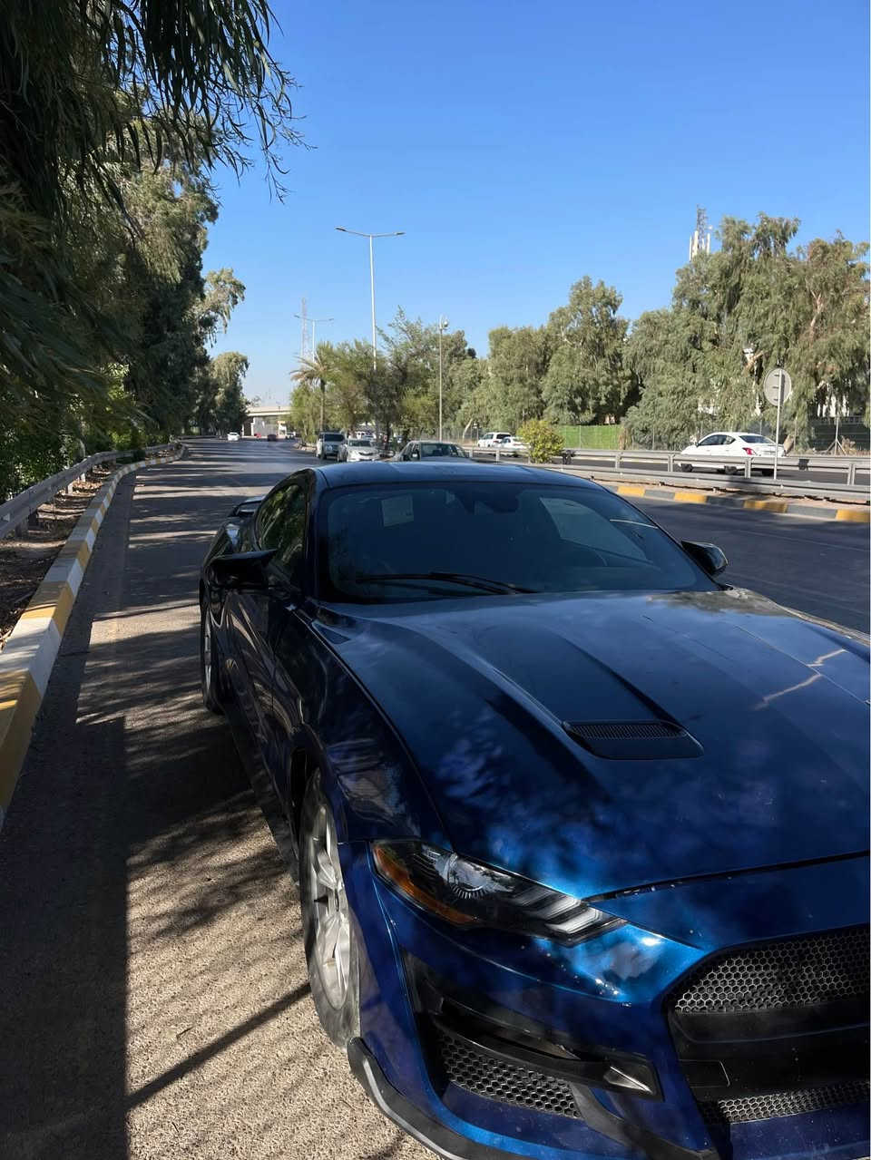 سلام عليكم
فورد موستنك مديل 2023 ايكو بوست
تسجل جميع المحافظات
 فقط رقم كلشي مدفوع وكامل
 حادثها جاملغ وبنيد الفخذة بيها تصليح 
الشواصي سليمات 
مصبوع بيها البنيد والجاملغات الأماميه
 وشويه من باب الصدر 
السيارة جديدة ماماشيه اهواي فقط 76 ميل 
تبريد حدادية تايرات  كلها بحاله الوكالة
اكسلها بالكارتون مال الشركة 
بيها ملاحظات بسيطة تجي وتشوفهن يعني شغلات كماليات 
السعر ب130 عنواني بغداد الكاظميه
*********** اتواصل وياي وادزلك صور حادثها 
ملاحضة اذا بعدك ممقرر تشتري سيارة رجاءً قرر وتعال البصرة, العراق
