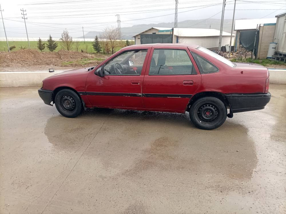 13

*********** السليمانية, العراق
