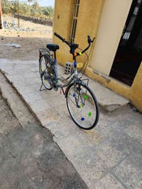 باسكل فول • نظيف • للبيع