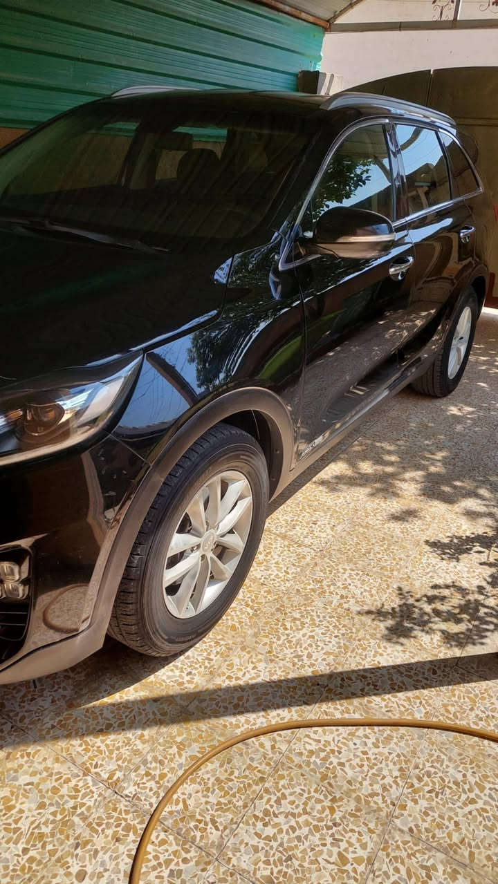 السلام عليكم سورنتو 2018 وارد امريكي للبيع 
موديل ٢٠١٨
الالون اسود
حادثها موضح بالصور والسونار ايضا موجود
مكينه جي دي اي ٣ ونص V6 بدون دوانز ومكينه تخبل 
ماشيه 154الف ميل 
رقم بغداد بأسمي تحويل مباشر
شاديلها بجم ال١٩ خليجي لايت لد وبلاجكتور لد 
شاشه صغيره لمس
 كامره خلفيه 
٧ راكب 
فول تحكم ستيرن  كروز مثبت سرعه 
تحكم مري كهرباء
تبريد قطعتين  
تخم تاير جديد 
صدر جديد 
مسوي ادامه كامله للسياره 
السياره نضيفه وما متعوبه وعلى ايد وحده من امريكا لحد هسه 
السعر  
167 وبيها مجال 
مكان السياره بابل المسيب 
او بغداد ناحية اليوسفية
للتواصل 
***********
***********
متوفر واتساب
