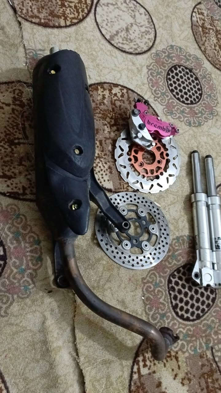 للبيع كلمين وسعره
صدر 75. Dy
صالصه صجمه مكفوله من الحيم 60 بيه مجال 
فيج وصينه 50 
صينه ام النار 25 
مكان كربلاء حي السلام ‏‪***********‬‏
