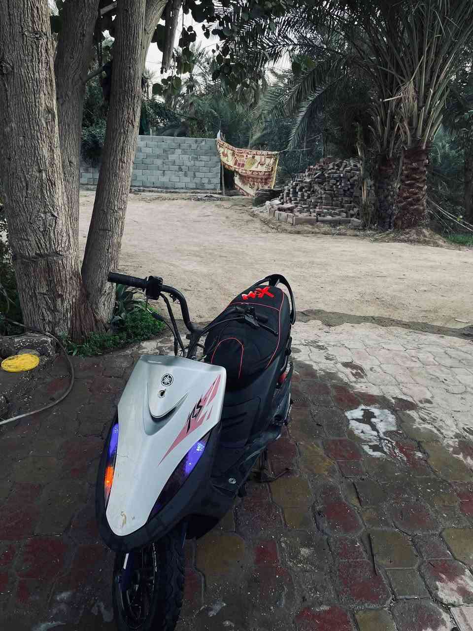 ماكس عدله للبيع بوشه 55 بيهه دبلات رياضي ويل امامي رياضي وقطرت دهن . سلف رياضي 55 . سلف هندر شغاله كهربائيات شغاله ضفيره جديده سعر خاص


**إذا كنت صاحب هذا الإعلان وتريد حذفه لأي سبب، رجاءا أرسل رسالة إلى الدعم الفني**