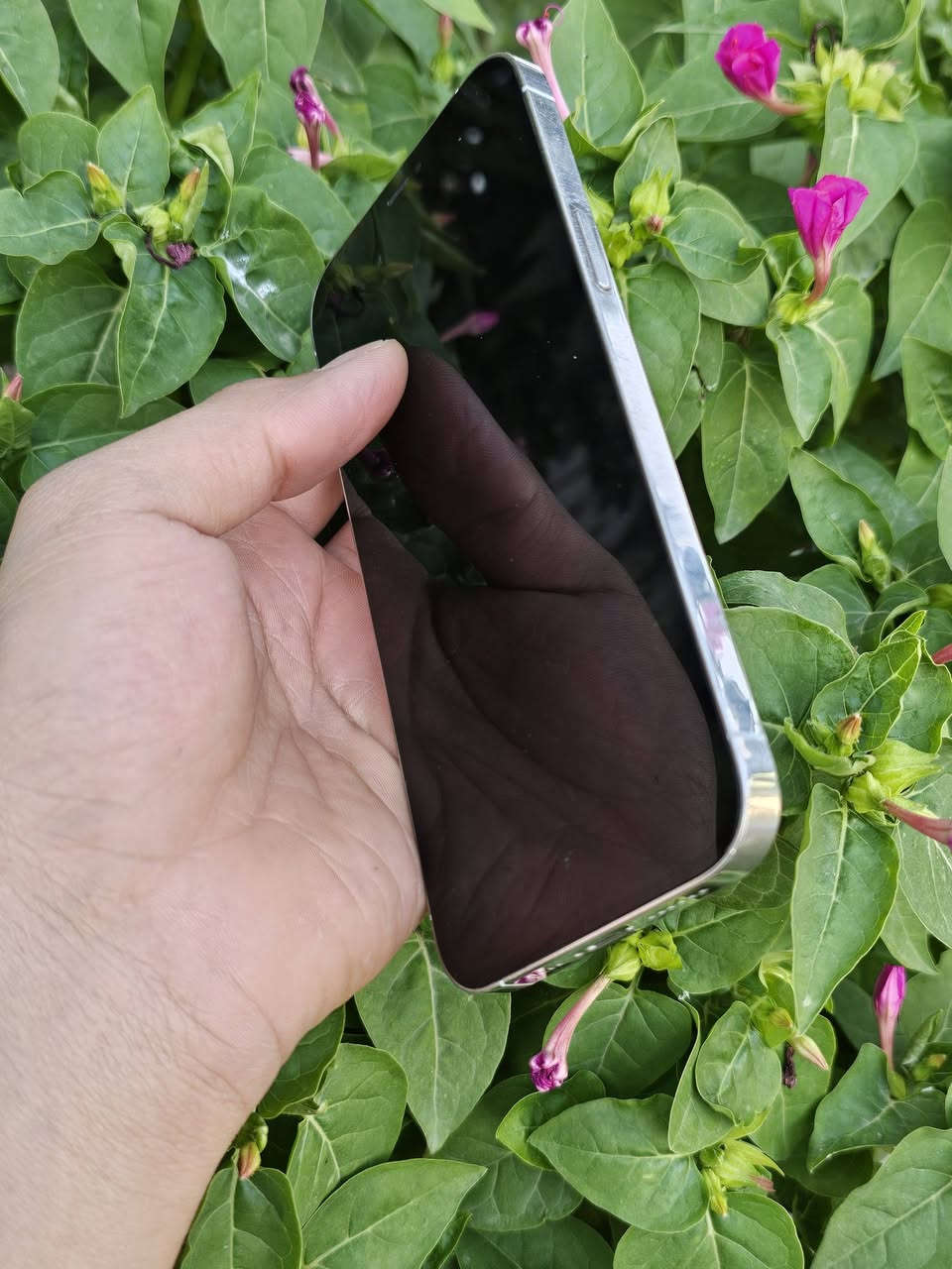 أيفون 12برو ماكس مكفول مبدل بي بطاريه فقط ابلاديه ١٠٠  بي فطر بسيط بضهر مثل ما واضح 350 وبي مجال مكاني ديالى شهربان ***********
