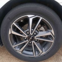 ويل كب • مقاس ١٦ • كربلاء