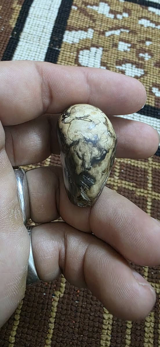 ياالله حجره داووديه مرعبه كامله مامجروخه مصورة مواظحه جدن سعرها وتفاصيلها خاص ***********
