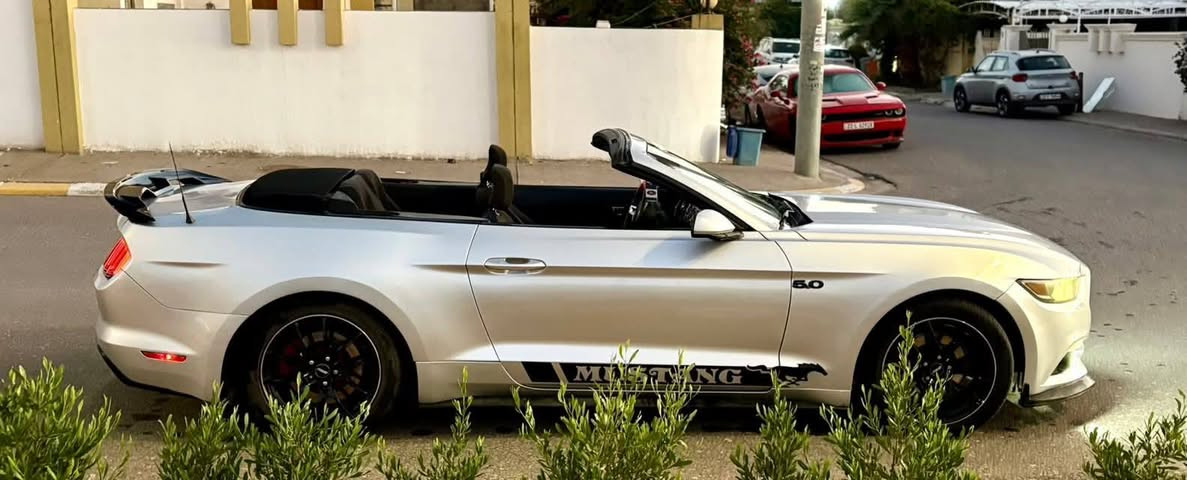 موستنك 🏇 
2016✔️ 
V6 ☠️
⚡️بدون ايرباك 
بدون شاصي 
كير محرك بشرط 
تبريد بشرط 
كشف مقحل شوي بس بشرط
ماشية ٨٠ 
ويالة اربعة وتايرات جديدة 
مكان اربيل 
سنوية هزه كلو جديد مناقصها اي شي
بيها صبغ وبخ كم قطعة ابيع حزام بدون ايرباك 
سعر 124 وبي مجال 

رقم الشاصي والصور الحادث بامريكا مرفقة 
***********
موجود واتساب واتصال
