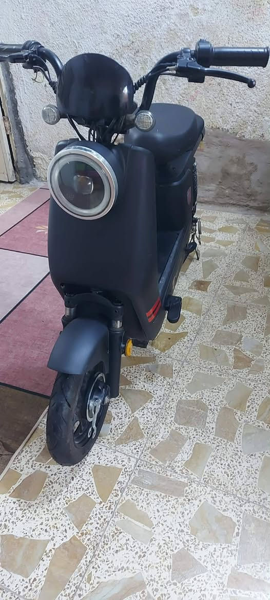 دراجة شحن WINLEE ( حجم 14 ) ( 3 سرع ) 4 بطاريات الدراجة نقص بطاريات فقط انتبه نقص بطاريات السعر 150 الف و بيهة مجال المكان بغداد حي اور الخاص مفتوح


**إذا كنت صاحب هذا الإعلان وتريد حذفه لأي سبب، رجاءا أرسل رسالة إلى الدعم الفني**