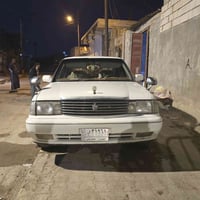 تغيير لون • رقم بصره • تحويل ثاني يوم