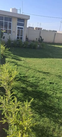 الورديه • ٤٠٠م • تابو زراعي