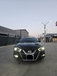 ماكسيما • ٢٠١٦ • جلد بانوراما