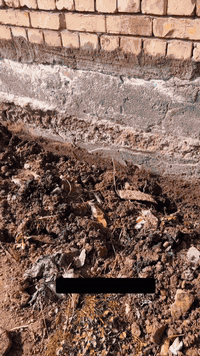 يوفر لكم مكتب المجد الزراعي المختص بكشف ومكافحة حشره الارضه والقوارض ب...