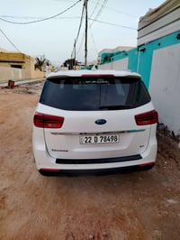 كرنفال • ٢٠٢٠ • وارد كندي