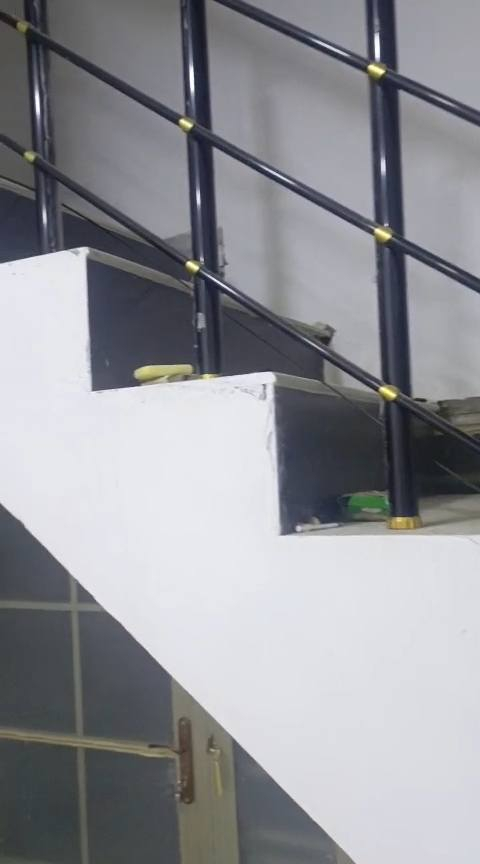 اللهم صلي على محمد وآل محمد
دار للبيع 🏛️   بناء جديد 
⛔   حي  الصدر الاول قرب مكتب أدم 
📈 المساحة   :  150 م
يتكون من : 
- غرف نوم عدد 2 
- صالة 
- استقبال 
- مطبخ
صحيات 
كراج 
شارع تبليط جديد ومقابل ساحه 
☎️ للأستفسار والمعاينة اتصل على :
***********
الرقم يحتوي على واتساب 
📍 زيارة مكتبنا الكائن في : حي الصدر الاول السايدين قرب مطعم كباب نذير 
📥 مكتب أدم
