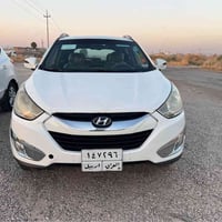 توكسون • ٢٠١٠ • صبغ عام