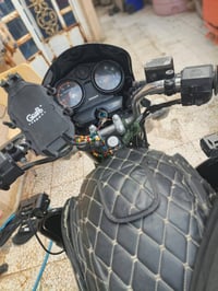 بوكسر • جبلي • مره وحده