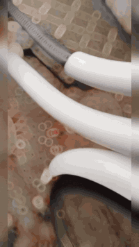 باسكل بطه • حجم 26 • نجف حي النداء