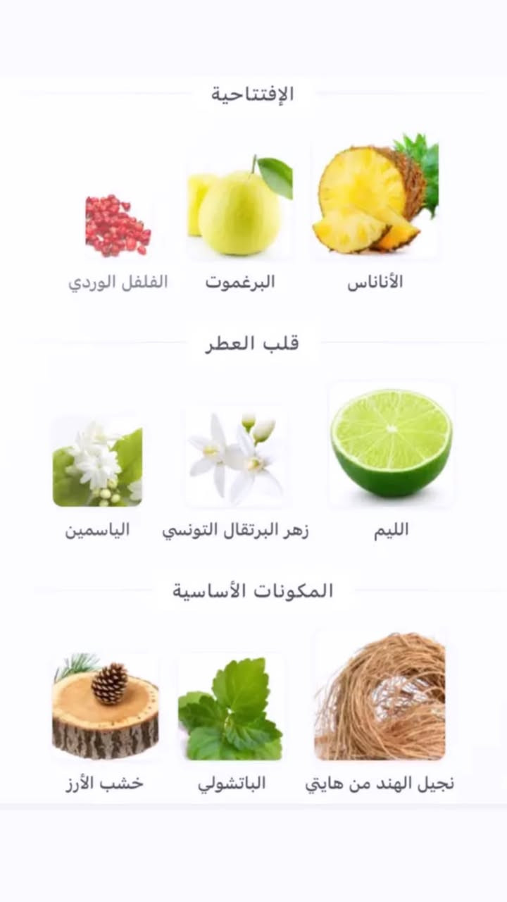 المعروف لا يعرف هاشفات اكس مستخدم رشات للبيع سعر 260 موجود توصيل ***********
