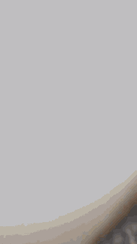 سلام عليكم دراجه بريز لايت عالي رمبه بعدها ومكفوله من تاير للتاير السعر ب975 واستفسار خاص او رقمي ***********
