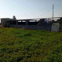 اليوسفيه • ٥ دونم • زراعي