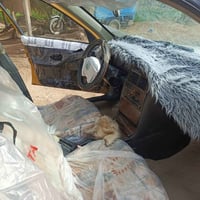 بارس ٢٠١٠ • هيئة وغرامات • تحويل كفاله