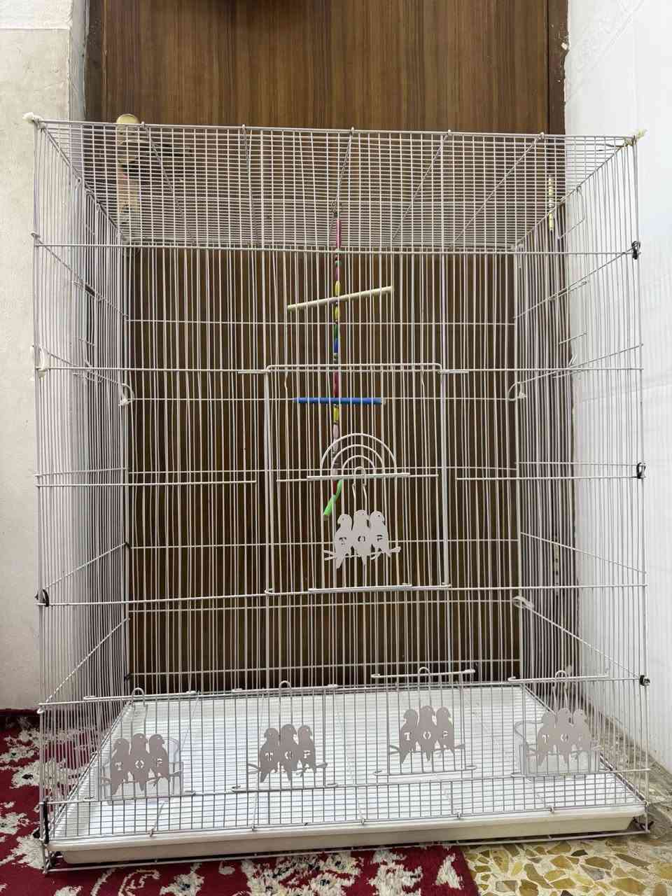 السلام عليكم ،،
قفاصة عدد 2  ابو الطير الحجم الكبير للبيع استعمال اقل الأسبوع 

مضروبات شناطات تقوية 

وياه كل قفص مرجوحه

ومأكليات

ارتفاع 90 الطول 75 العرض 45 

مكاني بغداد الحرية/ مقابل لؤلؤه العدل

للأستفسار ***********وتساب
