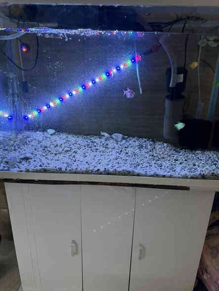 تخم تفصال قماش وتر بروف سعره ٦٠٠
حوض سمك قياسه ٨٠.  سعره ١٠٠
 
للاستفسار على الرقم 
***********
